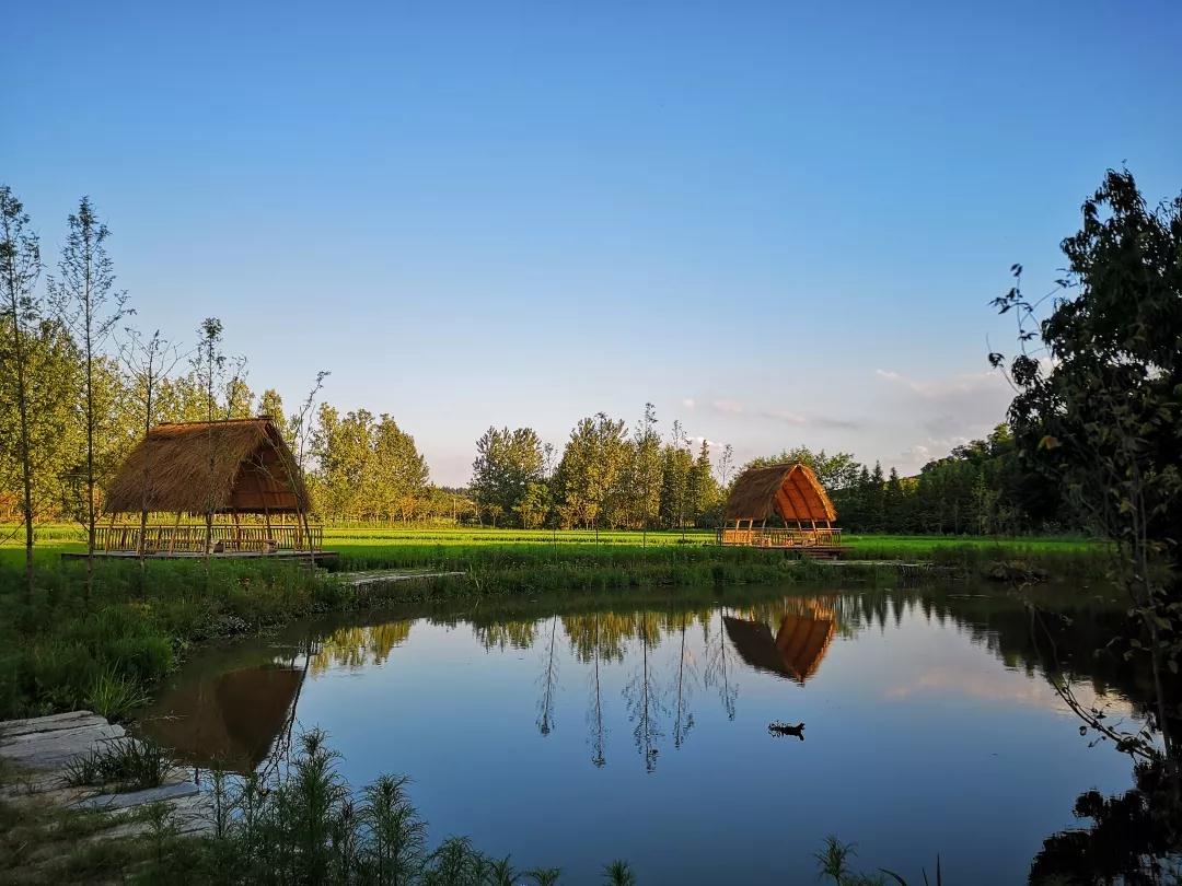 15410680153047053UH2.jpg 微信图片_20181101180729.jpg